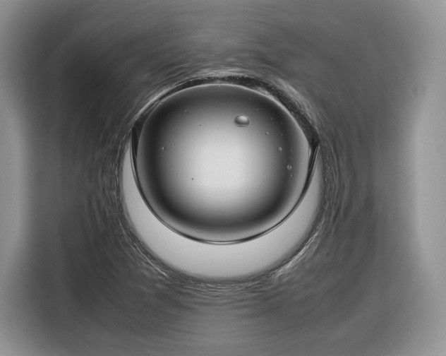 X0000116351361200912091121