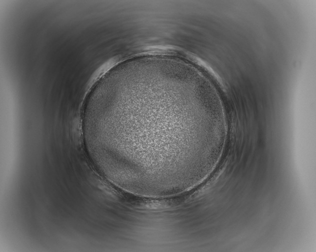 X0000116351362200912091121