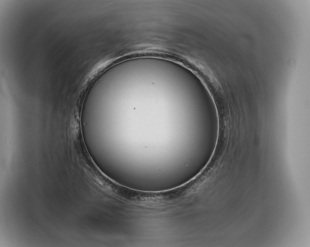 X0000116351363200912091121