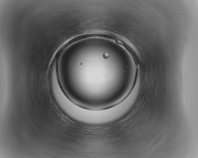 X0000116351364200912091121