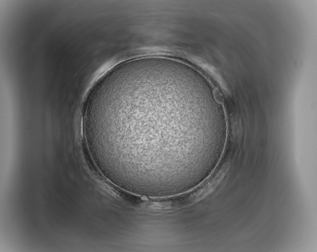 X0000116351365200912091121