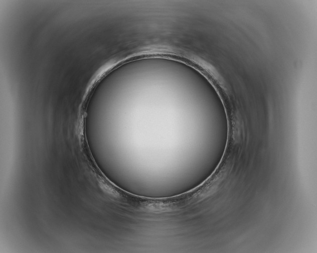 X0000116351366200912091121