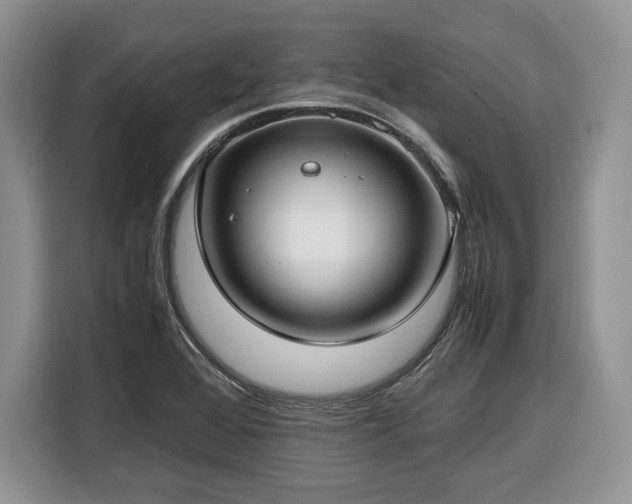 X0000116351368200912091121