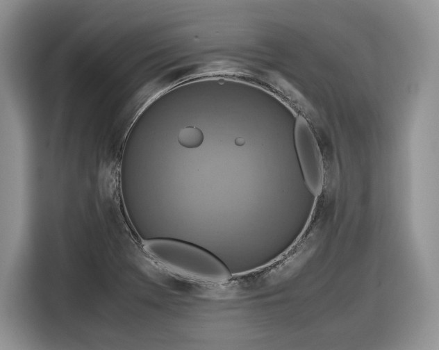 X0000116351369200912091121