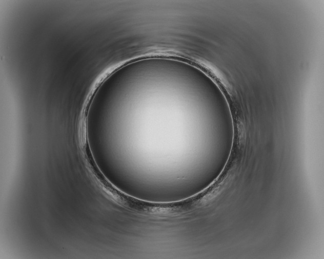 X0000116351371200912091121