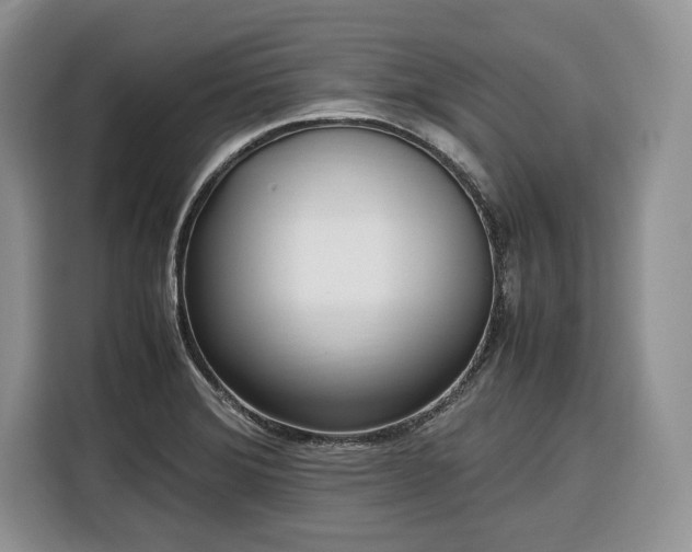 X0000116351372200912091121