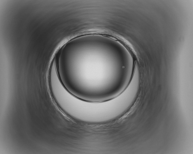 X0000116351373200912091121