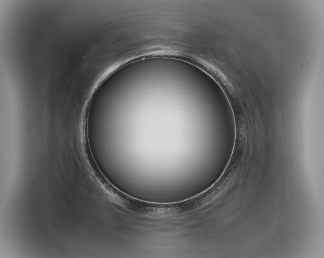 X0000116351375200912091121