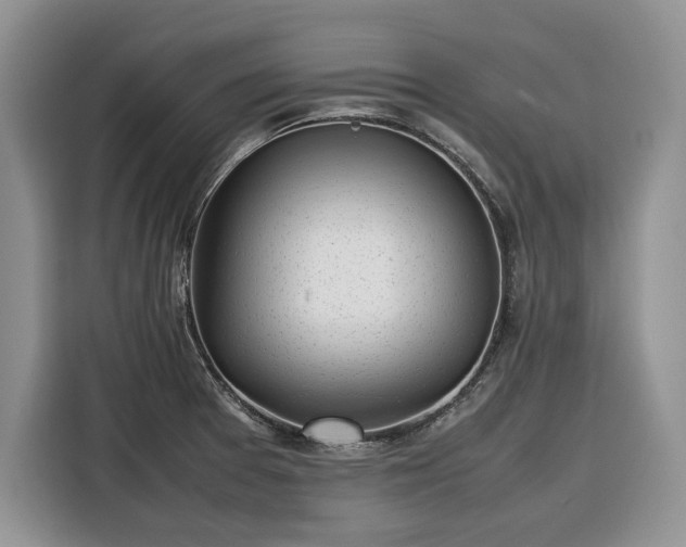 X0000116351377200912091121