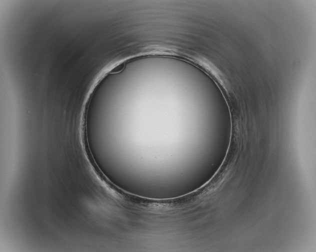 X0000116351379200912091121