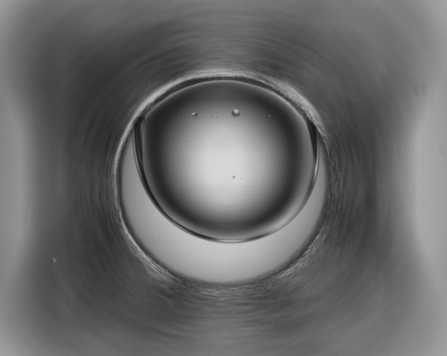 X0000116351380200912091121