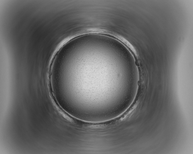 X0000116351381200912091121