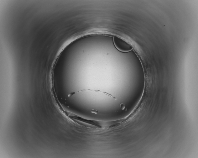 X0000116351382200912091121