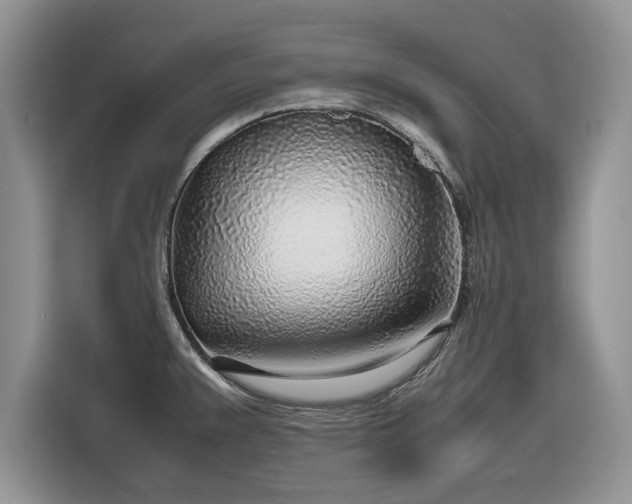 X0000116351383200912091121