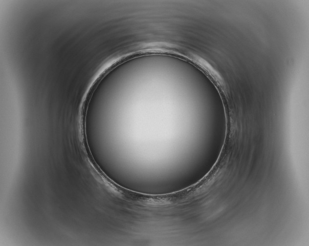 X0000116351384200912091121