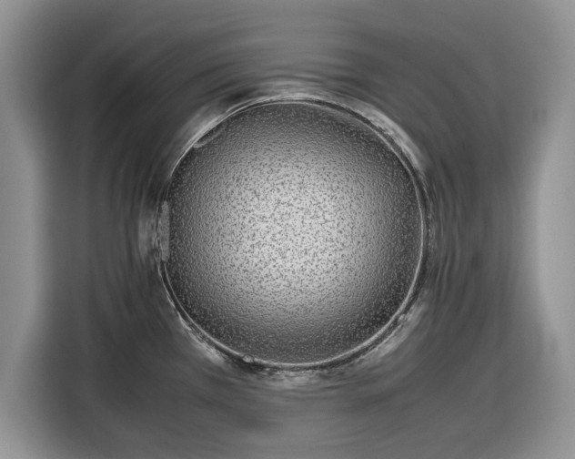 X0000116351385200912091121