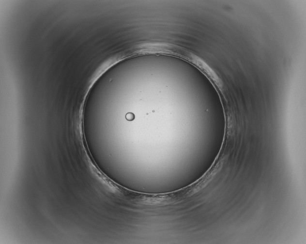 X0000116351386200912091121