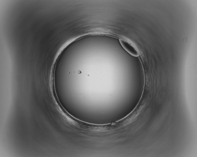 X0000116351387200912091121