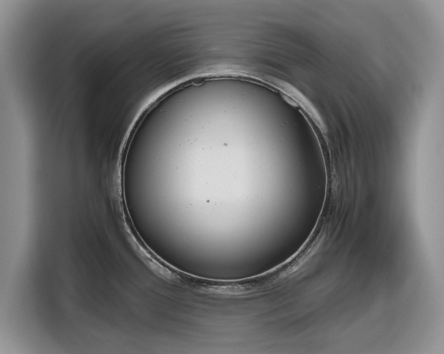 X0000116351388200912091121