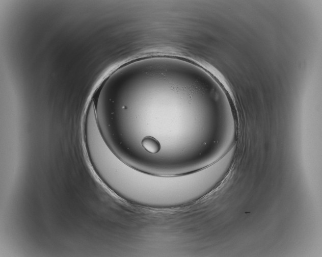 X0000116351389200912091121