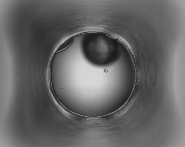 X0000116351391200912091121