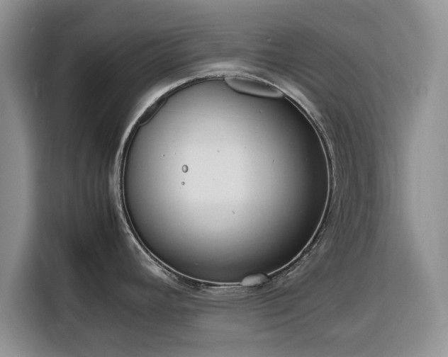 X0000116351392200912091121