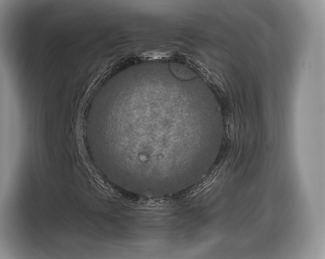 X0000116351393200912091120