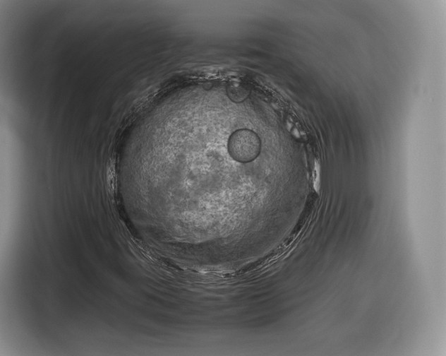 X0000116351395200912091120