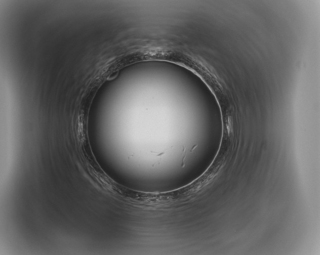 X0000116351396200912091120