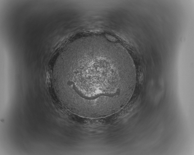 X0000116351397200912091120