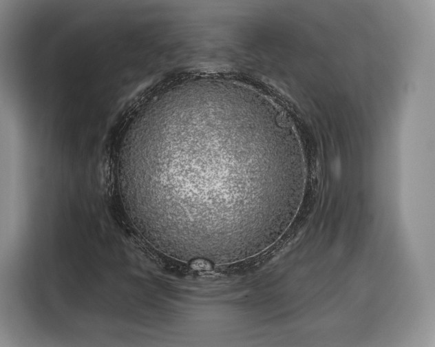 X0000116351398200912091120