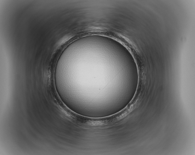 X0000116351402200912091120