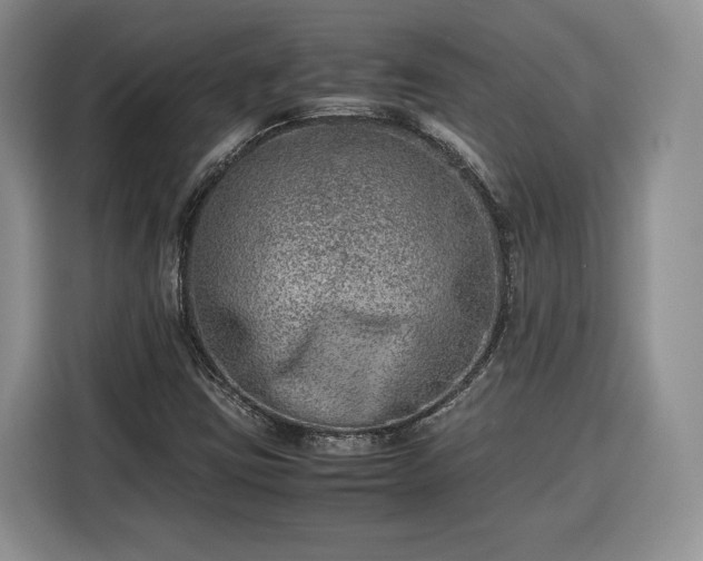 X0000116351403200912091120