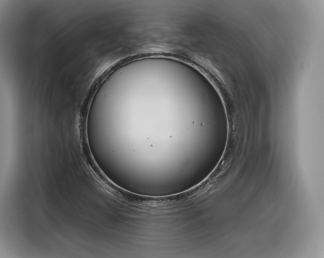 X0000116351404200912091120