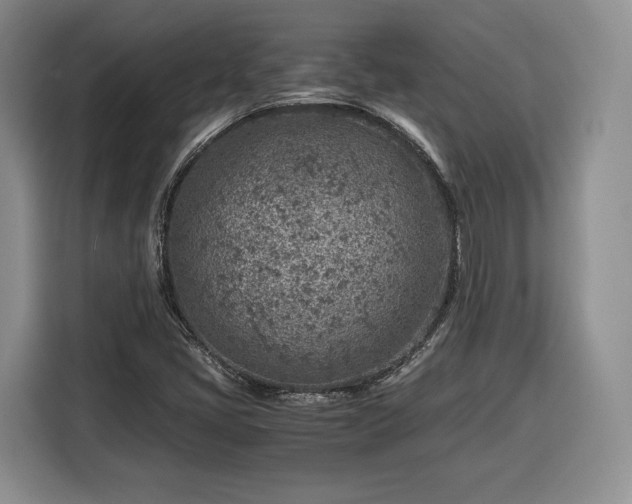 X0000116351405200912091120