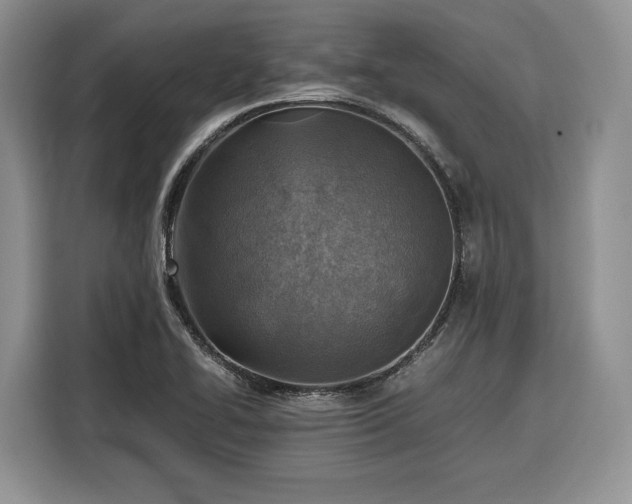 X0000116351414200912091120