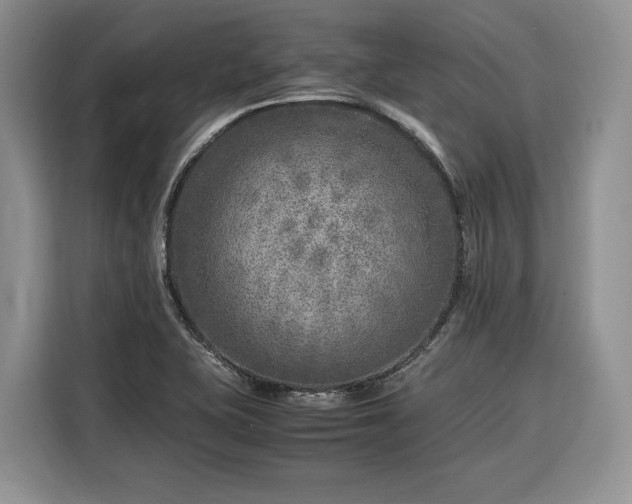 X0000116351415200912091120