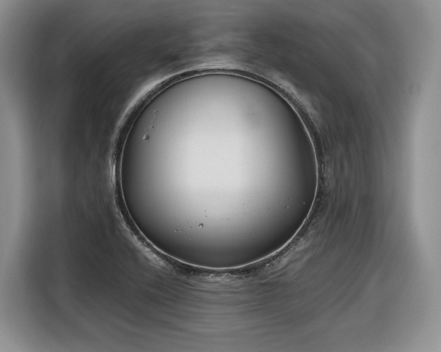 X0000116351416200912091120