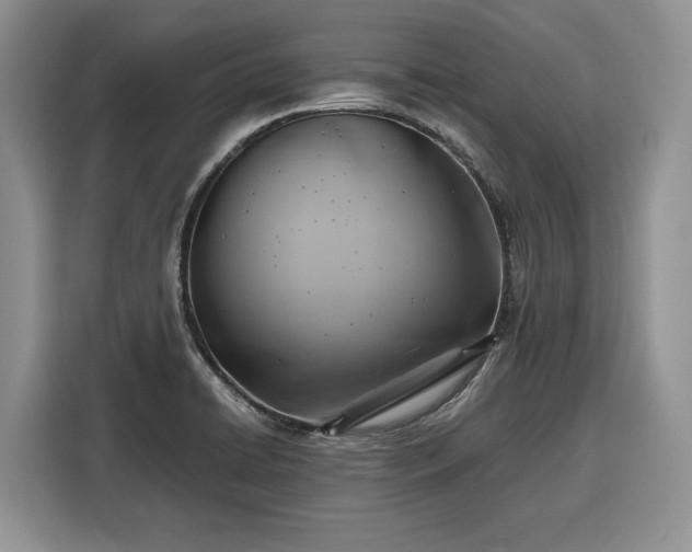 X0000116351422200912091121