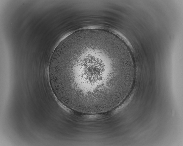 X0000116351425200912091121