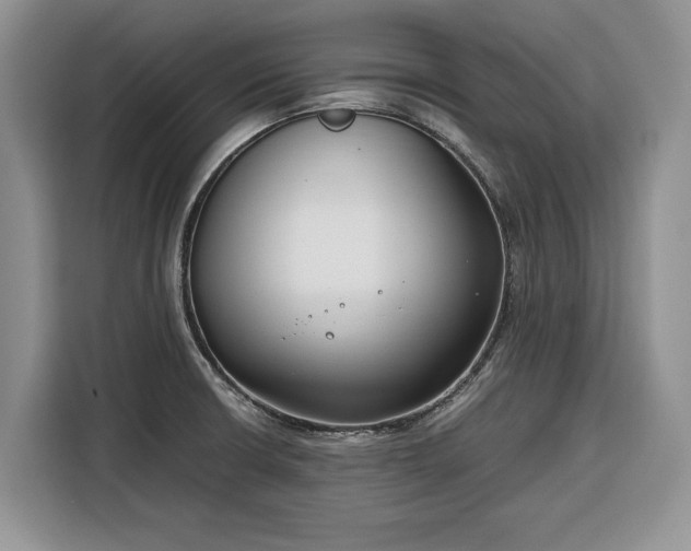 X0000116351426200912091121