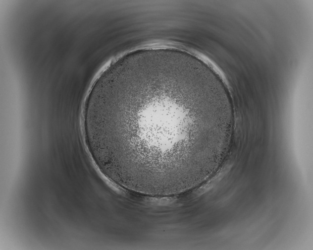 X0000116351429200912091121