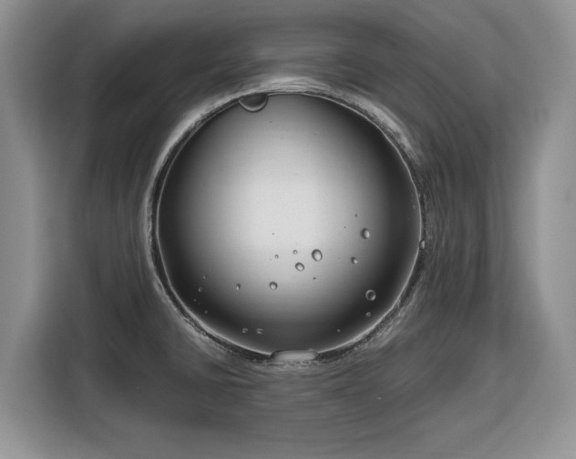 X0000116351430200912091121