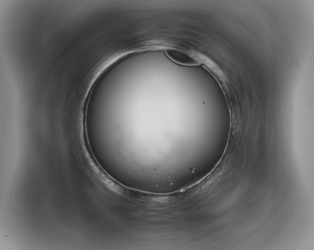 X0000116351431200912091121