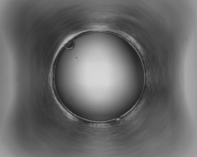 X0000116351432200912091121