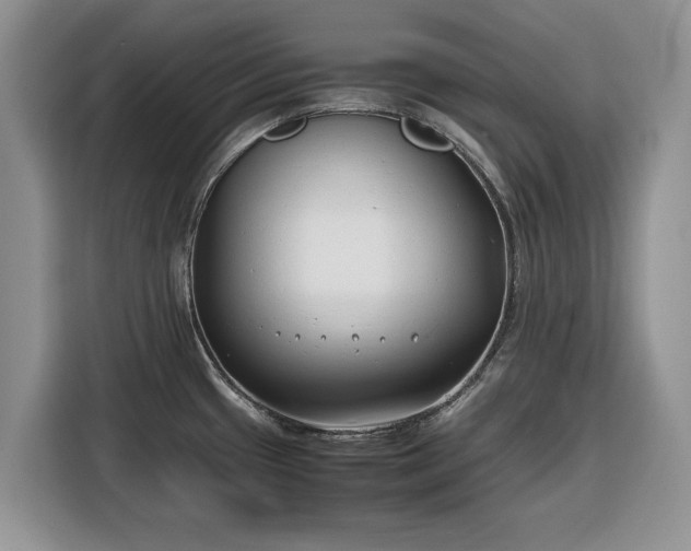 X0000116351433200912091121