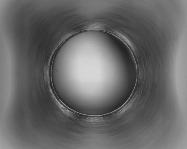 X0000116351434200912091121