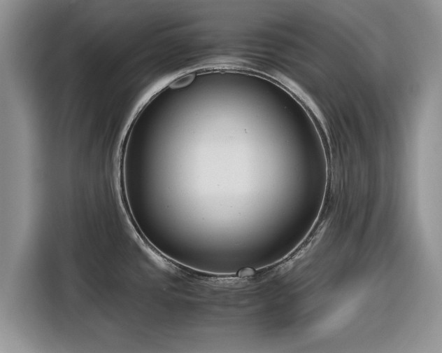 X0000116351437200912091121