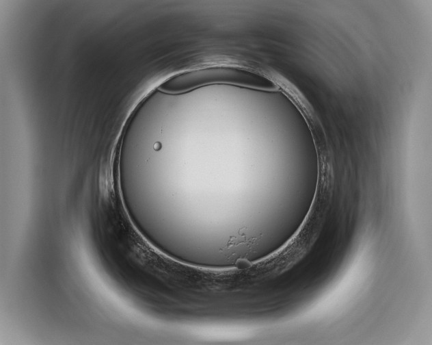 X0000116351439200912091121