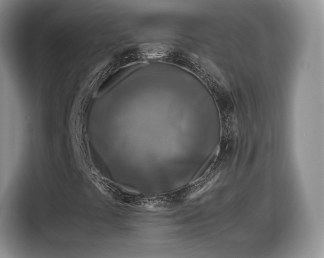 X0000116351441200912091120